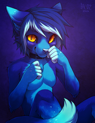 Size: 600x776 | Tagged: safe, artist:falvie, cat, feline, mammal, anthro, 2014, amber eyes, black sclera, blue body, blue fur, blue hair, blushing, bust, collar, colored sclera, digital art, ears, fur, hair, looking at you, male, portrait, simple background, solo, solo male, tail