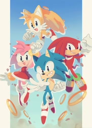 Size: 1024x1414 | Tagged: safe, artist:pandabear3000, amy rose (sonic), knuckles the echidna (sonic), miles "tails" prower (sonic), sonic the hedgehog (sonic), canine, echidna, fox, hedgehog, mammal, monotreme, red fox, anthro, sega, sonic the hedgehog (series), 2020, blue eyes, dipstick tail, female, fluff, green eyes, group, male, multiple tails, orange tail, purple eyes, quills, red tail, ring (sonic), tail, tail fluff, two tails, white tail