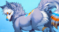 Size: 800x436 | Tagged: safe, artist:falvie, canine, mammal, wolf, feral, ambiguous gender, blue nose, butt fluff, ear fluff, featureless crotch, fluff, fur, gray body, gray fur, leg fluff, neck fluff, rear view, simple background, solo, solo ambiguous, tail, tail fluff, three-quarter view, tongue, tongue out, white body, white fur