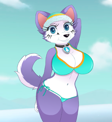 Size: 918x1000 | Tagged: safe, artist:whispering-tiger, everest (paw patrol), canine, dog, husky, mammal, nordic sled dog, anthro, nickelodeon, paw patrol, 2018, armpits, arms behind head, beanie, belly button, big breasts, bikini, black nose, blue eyes, breasts, clothes, cloud, collar, digital art, ears, eyelashes, female, fur, green bikini, green swimsuit, hat, looking at you, older, open mouth, open smile, purple body, purple fur, purple tail, sky, smiling, smiling at you, solo, solo female, standing, swimsuit, tail, teeth, thighs, white body, white fur, wide hips
