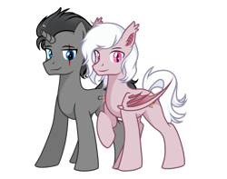 Size: 1496x1181 | Tagged: safe, artist:xuanmaru, oc, oc only, oc:black tobey, oc:coloured glaze rose, bat pony, equine, fictional species, mammal, pony, unicorn, feral, friendship is magic, hasbro, my little pony, 2020, bat wings, black hair, black mane, broken horn, derpibooru community collaboration, duo, duo male, eye scar, hair, horn, male, males only, mane, simple background, smiling, stallion, tail, transparent background, webbed wings, white hair, white mane, wings