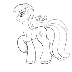 Size: 2000x2000 | Tagged: safe, artist:redquoz, roseluck (mlp), earth pony, equine, fictional species, mammal, pony, feral, friendship is magic, hasbro, my little pony, female, flower pot, hair, high res, hooves, mare, sketch, solo, solo female, striped hair, striped tail, stripes, tail