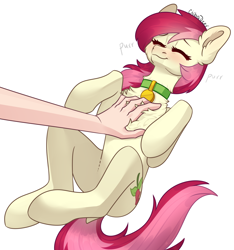 Size: 2344x2508 | Tagged: safe, artist:chibadeer, roseluck (mlp), equine, human, mammal, pony, feral, friendship is magic, hasbro, my little pony, behaving like a cat, collar, cute, female, high res, lying down, male, on back, petting, pony pet, purring