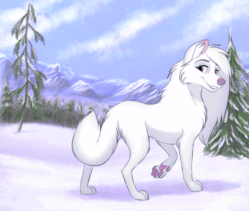 Size: 900x760 | Tagged: safe, artist:tuwka, canine, mammal, wolf, feral, 2d, 2d animation, animated, cute, female, frame by frame, gif, looking at you, looking back, looking back at you, paw pads, paws, rear view, solo, solo female, three-quarter view