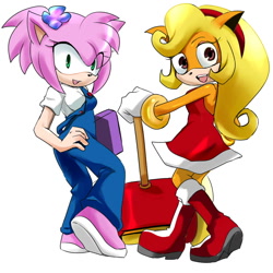 Size: 1000x1000 | Tagged: safe, artist:garugirosonicshadow, amy rose (sonic), coco bandicoot (crash bandicoot), bandicoot, hedgehog, mammal, marsupial, anthro, crash bandicoot (series), sega, sonic the hedgehog (series), 2013, bottomwear, brown eyes, clothes, crossover, dress, duo, duo female, female, flower, flower in hair, green eyes, hair, hair accessory, hammer, laptop, outfit swap, piko piko hammer, quills, skirt