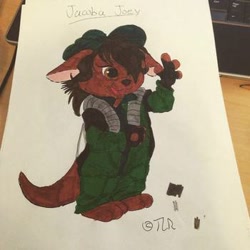 Size: 350x350 | Tagged: safe, artist:the lone rodent, oc, oc:jacoba joey, kangaroo, mammal, marsupial, anthro, 1:1, 2d, character sheet, female, irl, low res, macropod, photo, photographed artwork, solo, solo female, traditional art