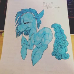 Size: 350x350 | Tagged: safe, artist:the lone rodent, oc, oc:blue (tlr), equine, mammal, feral, 1:1, 2d, character sheet, irl, low res, male, photo, photographed artwork, solo, solo male, traditional art