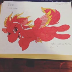 Size: 350x350 | Tagged: safe, artist:the lone rodent, oc, oc:red, equine, mammal, feral, 1:1, 2d, character sheet, irl, low res, male, photo, photographed artwork, solo, solo male, traditional art, ungulate