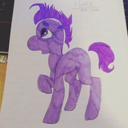 Size: 350x350 | Tagged: safe, artist:the lone rodent, oc, oc:purple, equine, mammal, feral, 1:1, 2d, character sheet, female, irl, low res, photo, photographed artwork, solo, solo female, traditional art, ungulate