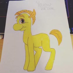 Size: 350x350 | Tagged: safe, artist:the lone rodent, oc, oc:yellow, equine, mammal, feral, 2d, character sheet, irl, low res, male, photo, photographed artwork, solo, solo male, traditional art