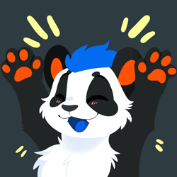 Size: 1000x1000 | Tagged: safe, artist:feve, oc, oc only, bear, mammal, panda, semi-anthro, ambiguous gender, black body, black fur, blue hair, blue tongue, blushing, bust, cheek fluff, chest fluff, colored tongue, eyes closed, fangs, fluff, front view, fur, hair, open mouth, paw pads, paws, raised hands, sharp teeth, simple background, solo, solo ambiguous, teeth, tongue, white body, white fur