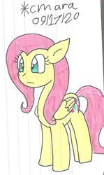 Size: 623x1043 | Tagged: safe, artist:cmara, fluttershy (mlp), equine, fictional species, mammal, pegasus, pony, feral, friendship is magic, hasbro, my little pony, female, mare, simple background, solo, solo female, traditional art, white background