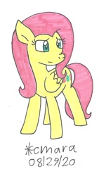 Size: 617x1092 | Tagged: safe, artist:cmara, fluttershy (mlp), equine, fictional species, mammal, pegasus, pony, feral, friendship is magic, hasbro, my little pony, female, mare, simple background, solo, solo female, traditional art, white background