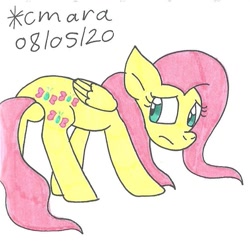 Size: 794x767 | Tagged: safe, artist:cmara, fluttershy (mlp), equine, fictional species, mammal, pegasus, pony, feral, friendship is magic, hasbro, my little pony, female, mare, sad, simple background, solo, solo female, traditional art, white background