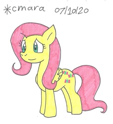 Size: 904x993 | Tagged: safe, artist:cmara, fluttershy (mlp), equine, fictional species, mammal, pegasus, pony, feral, friendship is magic, hasbro, my little pony, female, mare, simple background, solo, solo female, traditional art, white background