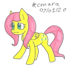 Size: 959x861 | Tagged: safe, artist:cmara, fluttershy (mlp), equine, fictional species, mammal, pegasus, pony, feral, friendship is magic, hasbro, my little pony, female, mare, solo, solo female, traditional art, worried