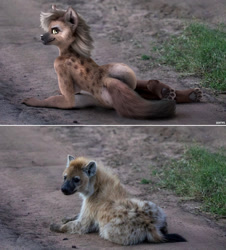 Size: 1155x1280 | Tagged: suggestive, artist:zorryn, hyena, mammal, spotted hyena, anthro, feral, lifelike feral, 3d, ambiguous gender, black body, black fur, breasts, brown body, brown fur, butt, draw over, female, fluff, fur, grass, gray body, gray fur, gray hair, hair, hazel eyes, irl, looking at you, looking back, looking back at you, lying down, non-sapient, on side, paw pads, paws, photo, prone, realistic, rear view, sideboob, signature, smiling, spotted fur, tail, tail fluff, whiskers