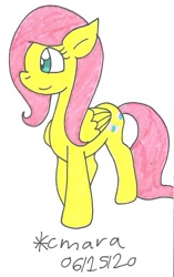 Size: 645x1026 | Tagged: safe, artist:cmara, fluttershy (mlp), equine, fictional species, mammal, pegasus, pony, feral, friendship is magic, hasbro, my little pony, cute, female, mare, solo, solo female, traditional art