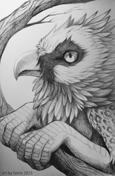 Size: 500x762 | Tagged: safe, artist:falvie, bird, bird of prey, vulture, anthro, ambiguous gender, monochrome, simple background, solo, solo ambiguous, traditional art