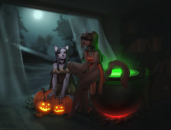 Size: 1280x967 | Tagged: safe, artist:tasaeyeang, oc, oc only, cat, feline, mammal, anthro, digitigrade anthro, breasts, bubbles, cauldron, clothes, duo, duo female, female, food, front view, hair, halloween, holiday, jack-o-lantern, kneeling, moon, night, paws, pendant, pumpkin, sitting, spooky, vegetables