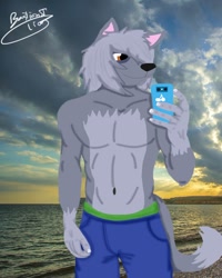 Size: 1024x1280 | Tagged: safe, artist:bastianthelion, rocky (paw patrol), canine, dog, mammal, mutt, anthro, nickelodeon, paw patrol, beach, belly button, black nose, bottomwear, cell phone, clothes, digital art, ears, fur, gray body, gray fur, hair, male, older, one eye closed, orange eyes, partial nudity, phone, selfie, shorts, smartphone, solo, solo male, tail, topless