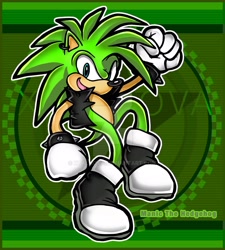 Size: 1920x2129 | Tagged: dead source, safe, artist:xtalnova, manic the hedgehog (sonic), hedgehog, mammal, anthro, plantigrade anthro, sega, sonic the hedgehog (series), sonic underground, male, solo, solo male