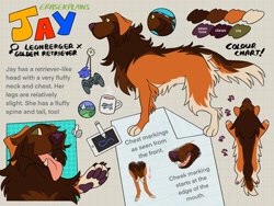Size: 1024x768 | Tagged: safe, artist:eraserplains, oc, oc only, oc:jay (eraserplains), canine, dog, golden retriever, hybrid, leonberger, mammal, feral, 2020, abstract background, brown body, brown fur, character name, cheek fluff, chest fluff, claws, color palette, cream body, cream fur, digital art, fangs, female, female symbol, floppy ears, fluff, fur, gender symbol, green eyes, leg fluff, looking forward, mug, multicolored fur, neck fluff, no pupils, open mouth, orange body, orange fur, paw pads, paw prints, paws, reference sheet, sharp teeth, side view, solo, solo female, standing, tablet, tail, tail fluff, teeth, tongue, tongue out, top view