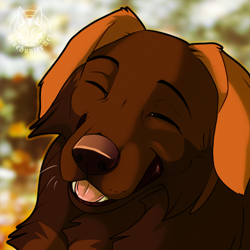 Size: 500x500 | Tagged: safe, artist:bluehunter, oc, oc only, oc:jay (eraserplains), canine, dog, golden retriever, hybrid, leonberger, mammal, feral, 2020, blurred background, brown body, brown fur, bust, chest fluff, digital art, eyes closed, female, fluff, front view, fur, low res, open mouth, orange body, orange fur, portrait, solo, solo female, teeth, tongue, watermark, whiskers
