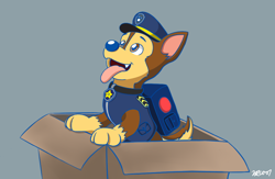 Size: 1000x650 | Tagged: safe, artist:rex100, chase (paw patrol), canine, dog, german shepherd, mammal, feral, nickelodeon, paw patrol, black nose, box, brown body, brown fur, clothes, collar, digital art, ears, fur, hat, male, multicolored fur, open mouth, simple background, solo, solo male, suit, tail, tan body, tan fur, tongue, tongue out, topwear, two toned body, two toned fur, vest