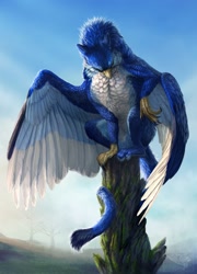 Size: 1247x1728 | Tagged: safe, artist:fellfallow, bird, feline, fictional species, gryphon, mammal, feral, ambiguous gender, beak, feathers, solo, solo ambiguous, tail, wings
