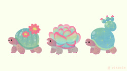 Size: 800x449 | Tagged: safe, artist:pikaole, animate plant, fictional species, reptile, tortoise, feral, ambiguous gender, cactus, cute, flower, group, simple background, succulent, thorns, trio, trio ambiguous, yellow background