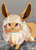 Size: 1463x2048 | Tagged: safe, artist:dvixie, eevee, eeveelution, fictional species, mammal, feral, nintendo, pokémon, ambiguous gender, brown body, brown fur, cheek fluff, clothes, cream body, cream fur, cute, fluff, front view, fur, happy, long ears, looking at you, looking up, looking up at you, open mouth, paws, purple eyes, rain, raincoat, see-through, signature, smiling, solo, solo ambiguous, standing, tail, tail fluff, teeth