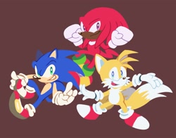 Size: 1933x1515 | Tagged: safe, artist:jinjochao, knuckles the echidna (sonic), miles "tails" prower (sonic), sonic the hedgehog (sonic), canine, echidna, fox, hedgehog, mammal, monotreme, red fox, anthro, plantigrade anthro, sega, sonic the hedgehog (series), 2020, dipstick tail, fluff, group, male, males only, multiple tails, orange tail, quills, red tail, tail, tail fluff, trio, trio male, two tails, white tail
