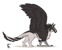 Size: 1090x890 | Tagged: safe, artist:blajn, oc, oc only, oc:rook (malfaren), bird, feline, fictional species, gryphon, mammal, feral, 2020, beak, big wings, bird feet, black feathers, blue eyes, chest fluff, claws, cream body, cream fur, digital art, ears, feathers, fluff, fur, gray body, leg fluff, male, paws, reference sheet, side view, signature, simple background, solo, solo male, spread wings, standing, tail, tail feathers, talons, watermark, white background, wings