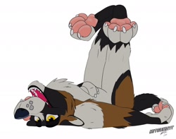 Size: 1280x1008 | Tagged: safe, artist:mitsumutt, akita, canine, dog, mammal, anthro, 2020, black body, black fur, black nose, brown body, brown fur, cheek fluff, claws, ear fluff, fangs, fluff, fur, gray body, gray fur, legs in air, lying down, male, on back, open mouth, paw pads, paws, sharp teeth, signature, simple background, solo, solo male, teeth, white background, yellow eyes