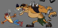 Size: 1657x801 | Tagged: safe, artist:dinorider5, crash bandicoot (crash bandicoot), tiny tiger (crash bandicoot), bandicoot, mammal, marsupial, thylacine, anthro, plantigrade anthro, crash bandicoot (series), duo, duo male, gray background, male, males only, sharp teeth, simple background, teeth