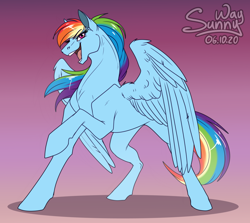 Size: 1200x1068 | Tagged: safe, artist:sunny way, rainbow dash (mlp), equine, fictional species, mammal, pegasus, pony, feral, friendship is magic, hasbro, my little pony, 2020, artwork, blue body, blue feathers, blue fur, digital art, feathers, female, fur, gradient background, hair, hooves up, magenta eyes, mane, mare, open mouth, rainbow hair, rainbow mane, raised leg, shadow, signature, sketch, solo, solo female, spread wings, tongue, wings