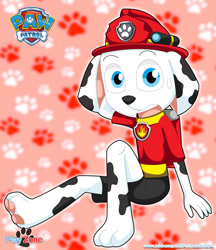 Size: 920x1063 | Tagged: safe, artist:playzone, marshall (paw patrol), canine, dalmatian, dog, mammal, anthro, digitigrade anthro, nickelodeon, paw patrol, anthrofied, bag, barefoot, black nose, blue eyes, clothes, collar, digital art, ears, fur, hat, looking at you, male, open mouth, simple background, sitting, solo, solo male, spotted body, spotted fur, suit, sweat, sweatdrop, tail, teeth, tongue, white body, white fur