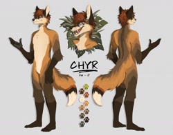 Size: 1280x1006 | Tagged: safe, artist:draecity, oc, oc only, oc:chyr, canine, fox, mammal, anthro, plantigrade anthro, 2020, brown body, brown fur, brown hair, character name, color palette, cream body, cream fur, digital art, fangs, featureless crotch, fluff, front view, fur, gender symbol, gloves (arm marking), hair, male, male symbol, open mouth, orange body, orange fur, pubic fluff, rear view, reference sheet, sharp teeth, simple background, smiling, solo, solo male, tail, tail fluff, teeth, three-quarter view