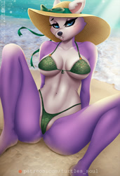 Size: 822x1200 | Tagged: suggestive, artist:turtlessoul, everest (paw patrol), canine, dog, husky, mammal, nordic sled dog, anthro, plantigrade anthro, nickelodeon, paw patrol, barefoot, beach, bedroom eyes, belly button, bikini, black nose, blue eyes, blushing, breasts, clothes, digital art, ears, eyelashes, feet, female, fur, green bikini, green swimsuit, hat, looking at you, multicolored fur, ocean, older, pose, purple body, purple fur, sand, seductive, seductive look, seductive pose, sexy, sitting, solo, solo female, spread legs, straw hat, swimsuit, thighs, two toned body, two toned fur, water, white body, white fur, wide hips