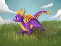 Size: 1280x960 | Tagged: safe, artist:sonaartist, spyro the dragon (spyro), bird, dragon, fictional species, western dragon, feral, spyro the dragon (series), 2d, ambient wildlife, claws, cloud, grass, horns, male, male focus, outdoors, smiling, solo focus, spots, tail, wings