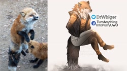 Size: 2048x1150 | Tagged: safe, artist:drwhiger, canine, fox, mammal, red fox, anthro, feral, lifelike feral, facebook, twitter, 2020, ambiguous gender, anthrofied, black body, black fur, bottomwear, clothes, digital art, fluff, fur, group, hoodie, irl, jumping, looking at you, male, neck fluff, non-sapient, orange body, orange fur, pants, photo, realistic, shirt, shoes, sitting, tail, topwear, trio, twitter logo, watermark, whiskers, white body, white fur