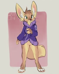 Size: 1026x1280 | Tagged: safe, artist:reign-2004, oc, oc only, canine, fennec fox, fox, mammal, anthro, digitigrade anthro, 2018, bottomless, brown body, brown fur, clothes, digital art, ear fluff, featureless crotch, female, fluff, fur, green eyes, hoodie, multicolored fur, nudity, partial nudity, solo, solo female, standing, tail, topwear, vixen, whiskers