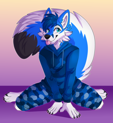 Size: 1604x1744 | Tagged: safe, artist:citrinelle, oc, oc only, canine, fox, mammal, anthro, 2020, big tail, black nose, blep, blue body, blue fur, bottomwear, claws, clothes, digital art, fluff, front view, fur, gradient background, hair, hoodie, kneeling, male, pants, paws, solo, solo male, tail, tail fluff, teal eyes, tongue, tongue out, topwear, white body, white fur