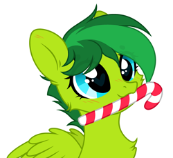 Size: 2965x2720 | Tagged: safe, artist:lazuli0209, artist:rioshi, artist:starshade, oc, oc only, oc:evergreen feathersong, equine, fictional species, mammal, pegasus, pony, feral, hasbro, my little pony, base used, bust, candy, candy cane, chest fluff, commission, cutie mark, female, fluff, food, heart, heart eyes, high res, holding, mouth hold, simple background, solo, solo female, white background, wingding eyes, wings, ych result