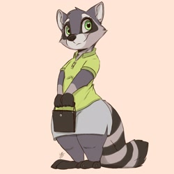 Size: 2500x2500 | Tagged: safe, artist:louart, mammal, procyonid, raccoon, semi-anthro, 2d, beige background, bottomwear, clothes, cute, ears, female, fur, green eyes, high res, paws, purse, shirt, simple background, skirt, solo, solo female, standing, tail, topwear