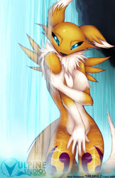 Size: 647x1000 | Tagged: safe, artist:tailsrulz, fictional species, renamon, anthro, digimon, 2009, bath, black sclera, blue eyes, breasts, colored sclera, dipstick ears, featureless breasts, female, fluff, gloves (arm marking), looking at you, neck fluff, nipple fluff, nudity, shoulder fluff, solo, solo female, water, waterfall, waterfall shower, wet