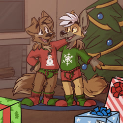 Size: 850x850 | Tagged: safe, artist:tinydeerguy, oc, oc only, oc:matt (tinydeerguy), oc:nikola (coyoteesquire), canine, coyote, mammal, anthro, plantigrade anthro, 2d, boxers, briefs, brown body, brown fur, chest fluff, christmas, christmas sweater, christmas tree, clothes, conifer tree, cute, duo, duo male, ear fluff, ears, fluff, fur, holiday, looking at each other, male, males only, open mouth, present, smiling, socks, sweater, topwear, tree, underwear