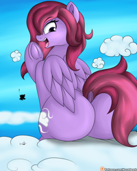 Size: 2000x2500 | Tagged: suggestive, artist:novaspark, oc, oc only, oc:wispy cloud, equine, fictional species, mammal, pegasus, pony, feral, friendship is magic, hasbro, my little pony, butt, female, high res, looking back, macro, smiling, solo, solo female