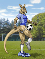 Size: 784x1024 | Tagged: suggestive, artist:wookiee, oc, oc only, kangaroo, mammal, marsupial, anthro, plantigrade anthro, 2004, balls, bottomless, butt, claws, clothes, digital art, eyebrows, fur, hands, jockstrap, looking at you, macropod, male, nudity, partial nudity, photo background, shoes, signature, sneakers, soccer ball, soccer field, socks, solo, solo male, tail, wristband